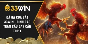 Đá Gà Cựa Sắt 33WIN - Đỉnh Cao Trận Cầu Gay Cấn Top 1